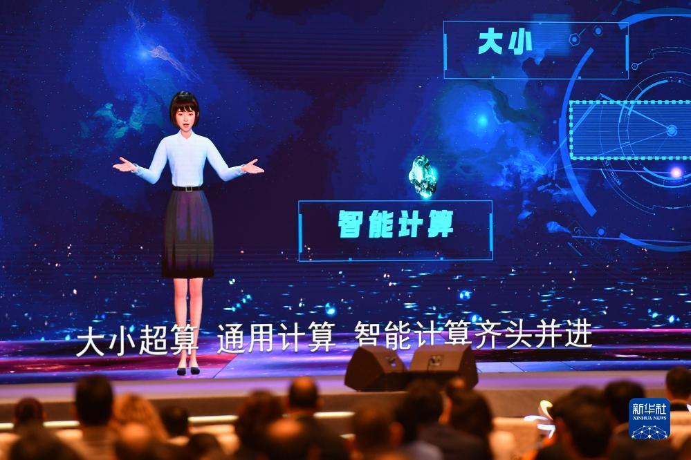 真人对赌